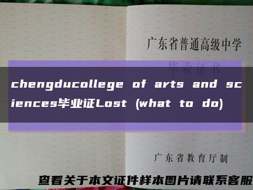 chengducollege of arts and sciences毕业证Lost (what to do)缩略图