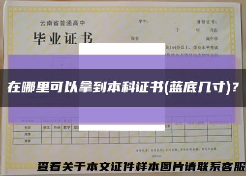在哪里可以拿到本科证书(蓝底几寸)？缩略图