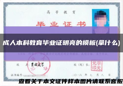成人本科教育毕业证明亮的模板(拿什么)缩略图