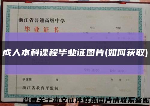 成人本科课程毕业证图片(如何获取)缩略图
