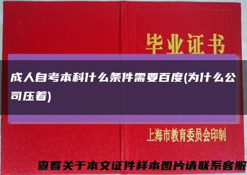 成人自考本科什么条件需要百度(为什么公司压着)缩略图