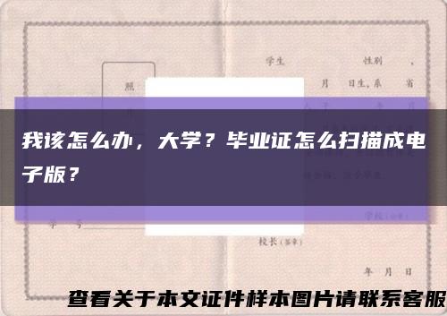 我该怎么办，大学？毕业证怎么扫描成电子版？缩略图