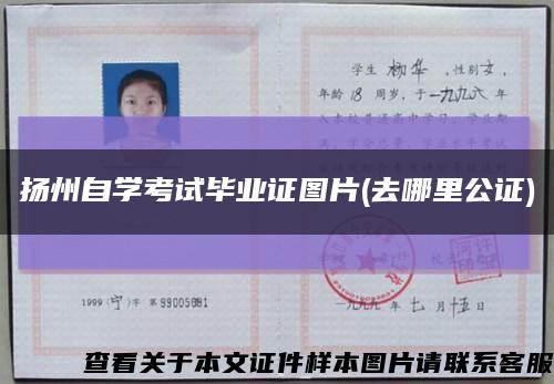 扬州自学考试毕业证图片(去哪里公证)缩略图