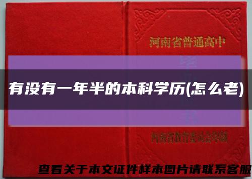 有没有一年半的本科学历(怎么老)缩略图