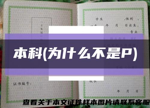 本科(为什么不是P)缩略图