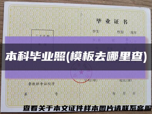 本科毕业照(模板去哪里查)缩略图