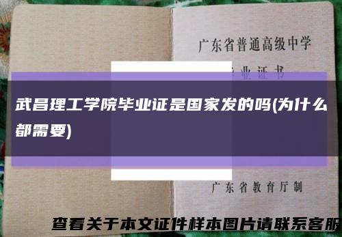 武昌理工学院毕业证是国家发的吗(为什么都需要)缩略图