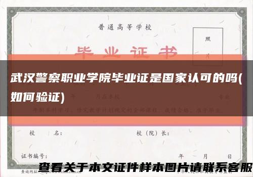 武汉警察职业学院毕业证是国家认可的吗(如何验证)缩略图