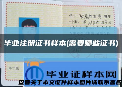 毕业注册证书样本(需要哪些证书)缩略图