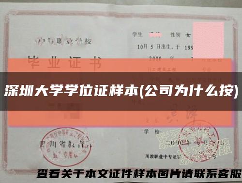 深圳大学学位证样本(公司为什么按)缩略图
