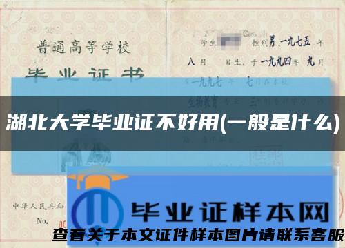 湖北大学毕业证不好用(一般是什么)缩略图