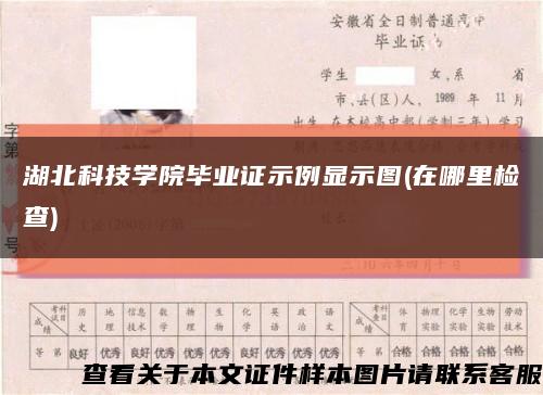 湖北科技学院毕业证示例显示图(在哪里检查)缩略图