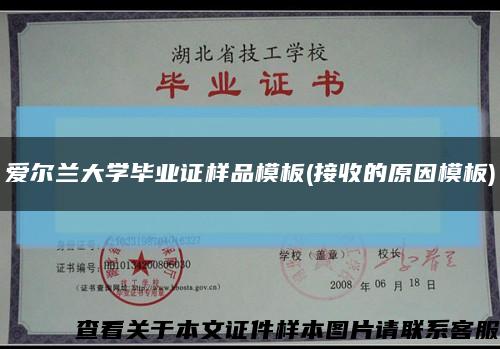 爱尔兰大学毕业证样品模板(接收的原因模板)缩略图