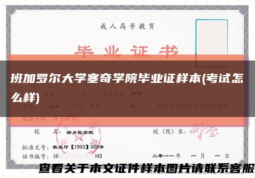 班加罗尔大学塞奇学院毕业证样本(考试怎么样)缩略图