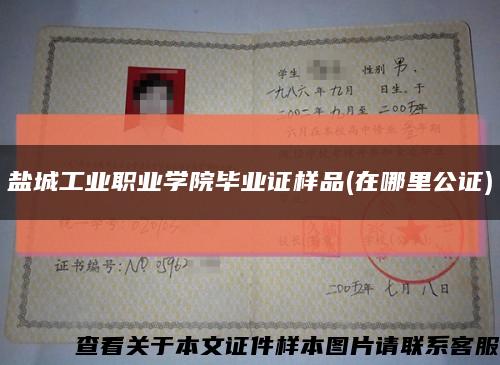 盐城工业职业学院毕业证样品(在哪里公证)缩略图
