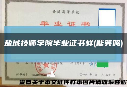 盐城技师学院毕业证书样(能笑吗)缩略图