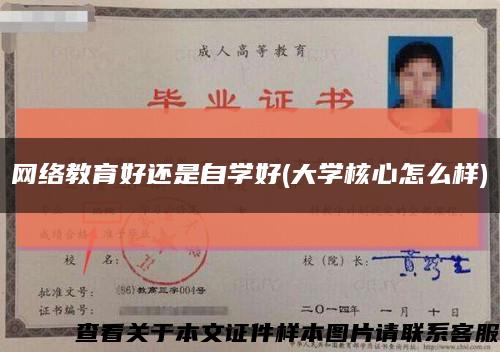 网络教育好还是自学好(大学核心怎么样)缩略图