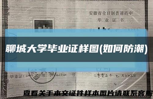 聊城大学毕业证样图(如何防潮)缩略图
