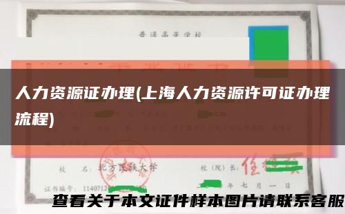 人力资源证办理(上海人力资源许可证办理流程)缩略图