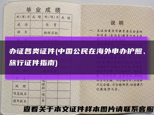 办证各类证件(中国公民在海外申办护照、旅行证件指南)缩略图