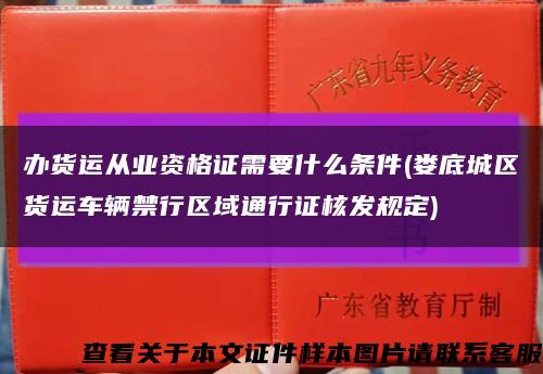 办货运从业资格证需要什么条件(娄底城区货运车辆禁行区域通行证核发规定)缩略图