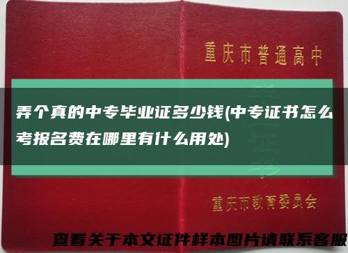 弄个真的中专毕业证多少钱(中专证书怎么考报名费在哪里有什么用处)缩略图