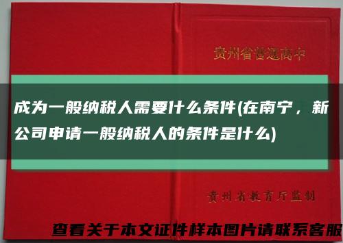 成为一般纳税人需要什么条件(在南宁，新公司申请一般纳税人的条件是什么)缩略图