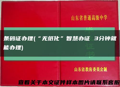 条码证办理(“无纸化”智慧办证 3分钟就能办理)缩略图