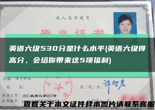英语六级530分是什么水平(英语六级得高分，会给你带来这5项福利)缩略图