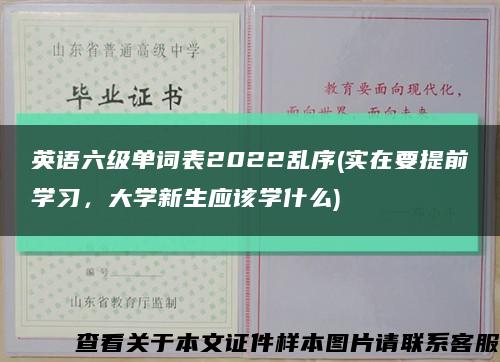 英语六级单词表2022乱序(实在要提前学习，大学新生应该学什么)缩略图