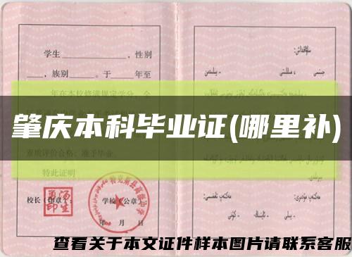 肇庆本科毕业证(哪里补)缩略图