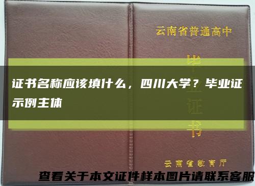 证书名称应该填什么，四川大学？毕业证示例主体缩略图