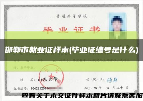 邯郸市就业证样本(毕业证编号是什么)缩略图