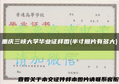 重庆三峡大学毕业证样图(半寸照片有多大)缩略图