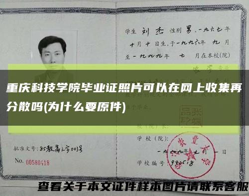 重庆科技学院毕业证照片可以在网上收集再分散吗(为什么要原件)缩略图