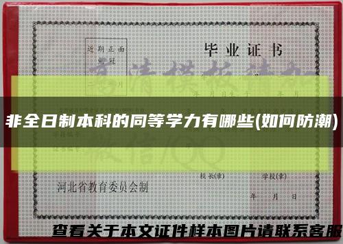 非全日制本科的同等学力有哪些(如何防潮)缩略图