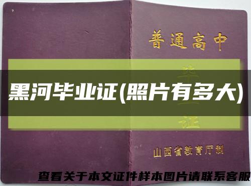 黑河毕业证(照片有多大)缩略图
