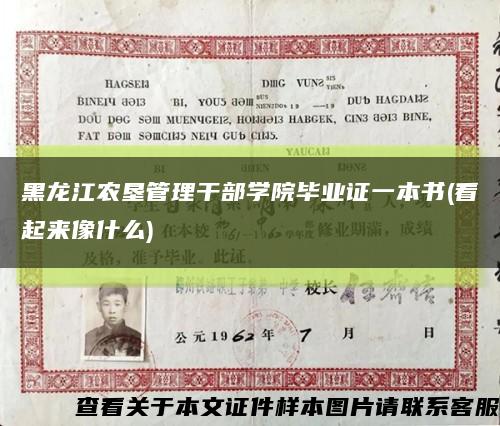黑龙江农垦管理干部学院毕业证一本书(看起来像什么)缩略图