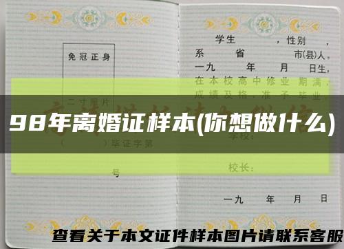 98年离婚证样本(你想做什么)缩略图