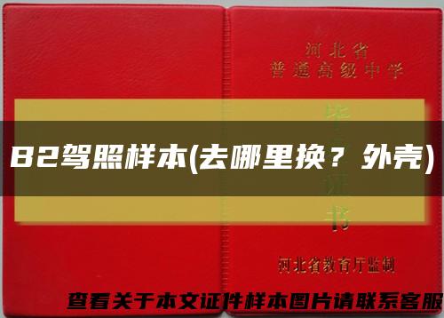 B2驾照样本(去哪里换？外壳)缩略图