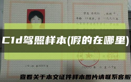 C1d驾照样本(假的在哪里)缩略图