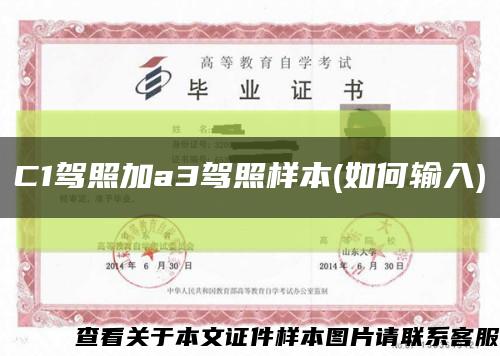 C1驾照加a3驾照样本(如何输入)缩略图