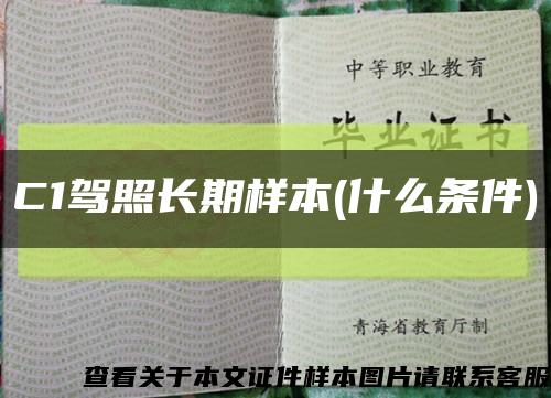 C1驾照长期样本(什么条件)缩略图