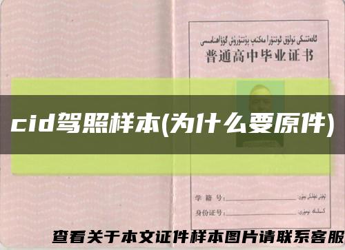cid驾照样本(为什么要原件)缩略图