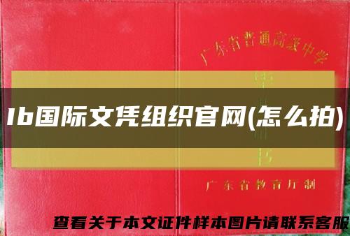 Ib国际文凭组织官网(怎么拍)缩略图