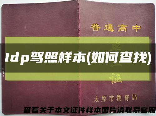 idp驾照样本(如何查找)缩略图