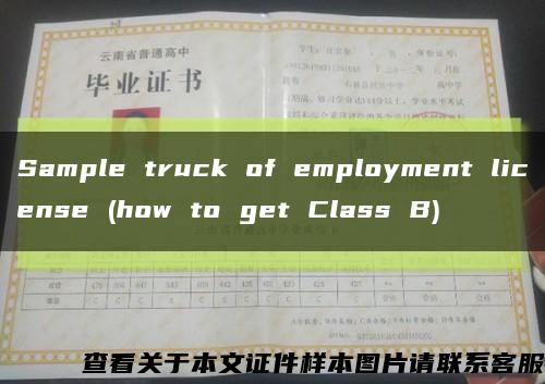 Sample truck of employment license (how to get Class B)缩略图