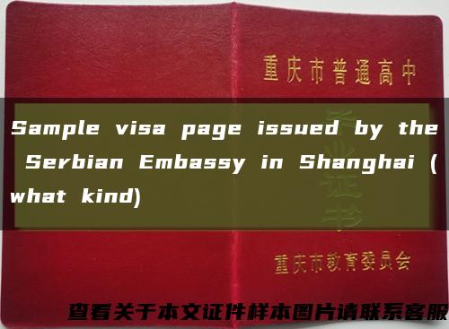 Sample visa page issued by the Serbian Embassy in Shanghai (what kind)缩略图