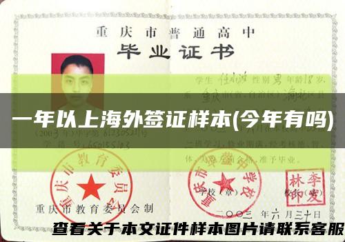 一年以上海外签证样本(今年有吗)缩略图