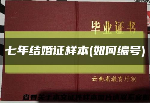 七年结婚证样本(如何编号)缩略图